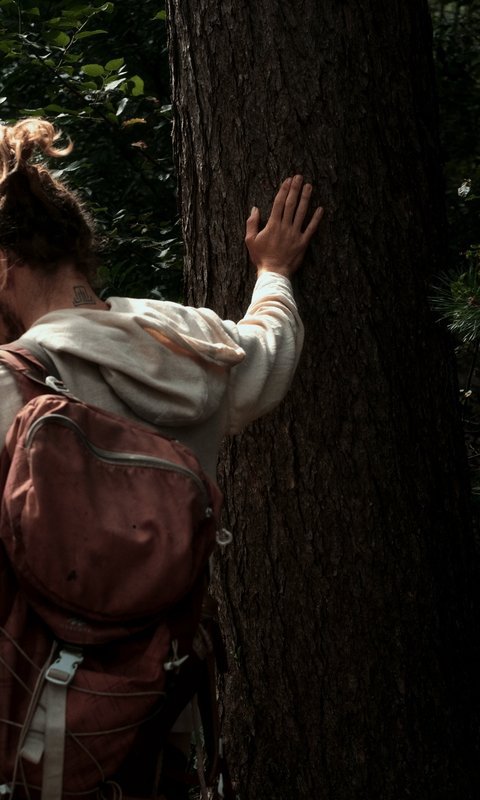 Een vijfdaagse verdiepende wandeltocht door de natuurgebieden van onze zuidergrens, inclusief een tweedaagse stilteretraite in het trappistenklooster Abdij Koningshoeven.
